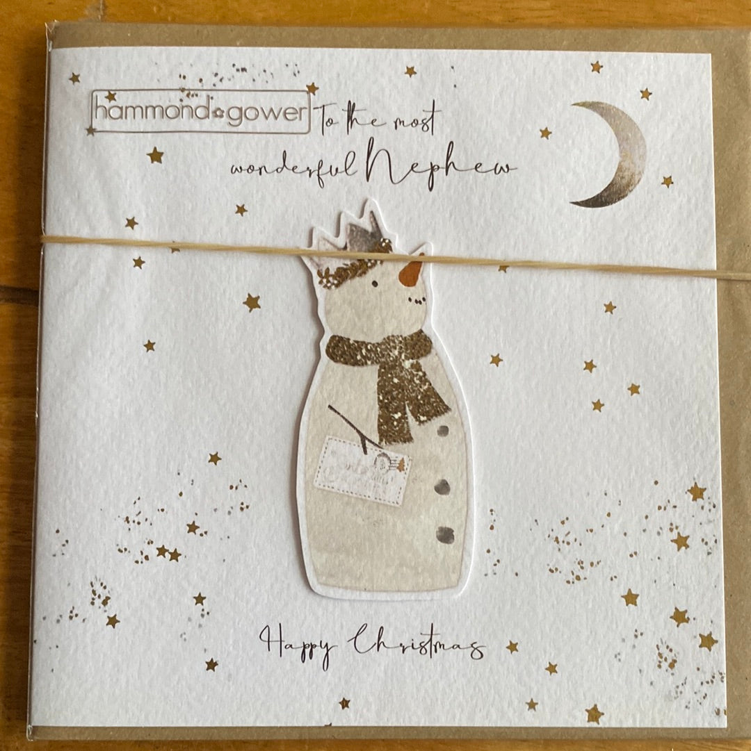 Nephew Christmas Card - Hammond Gower