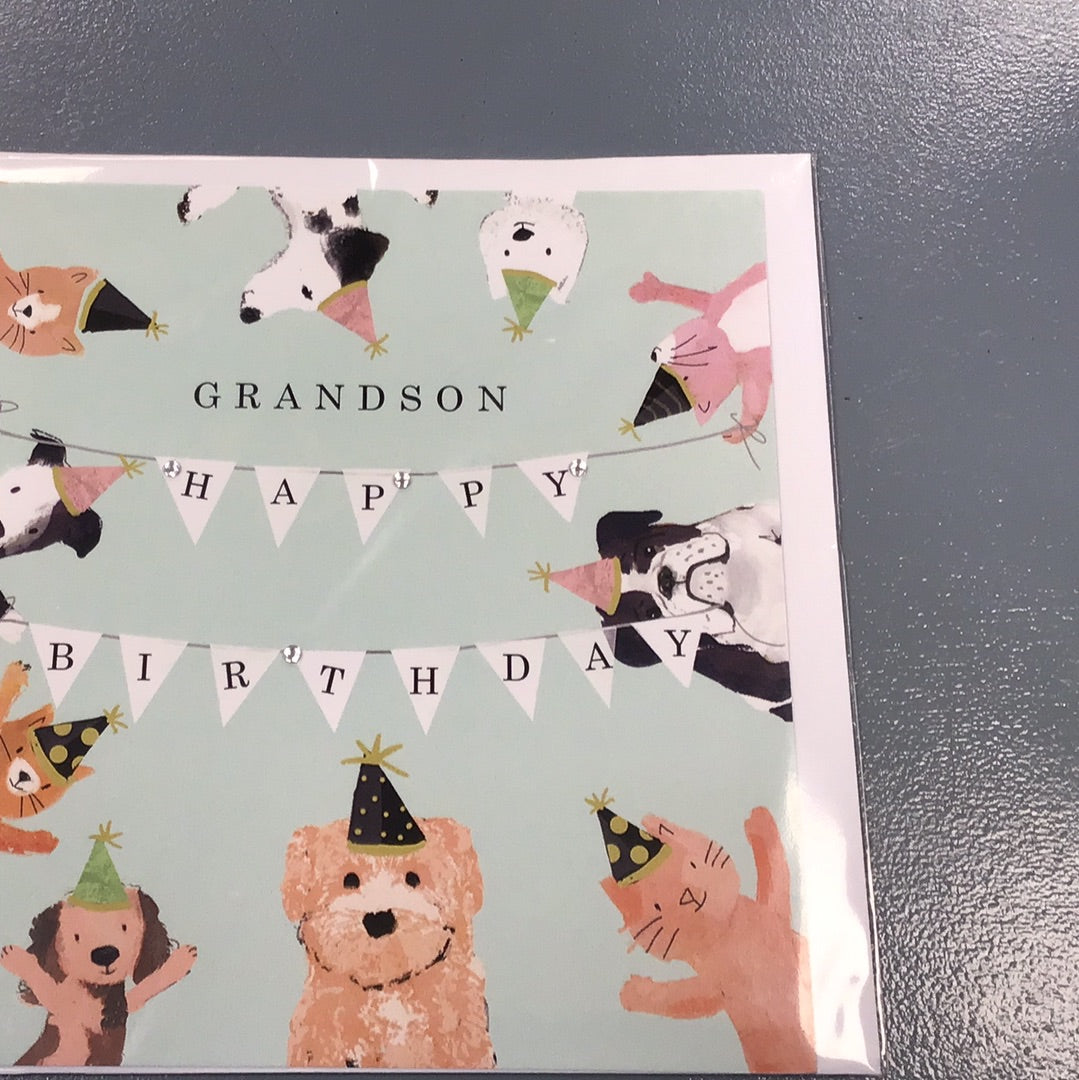 Grandson Birthday Card - H & G