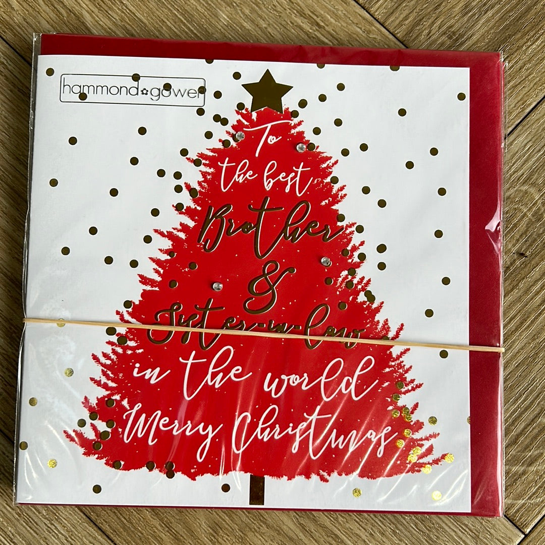 Brother & SIL Christmas Card - HG