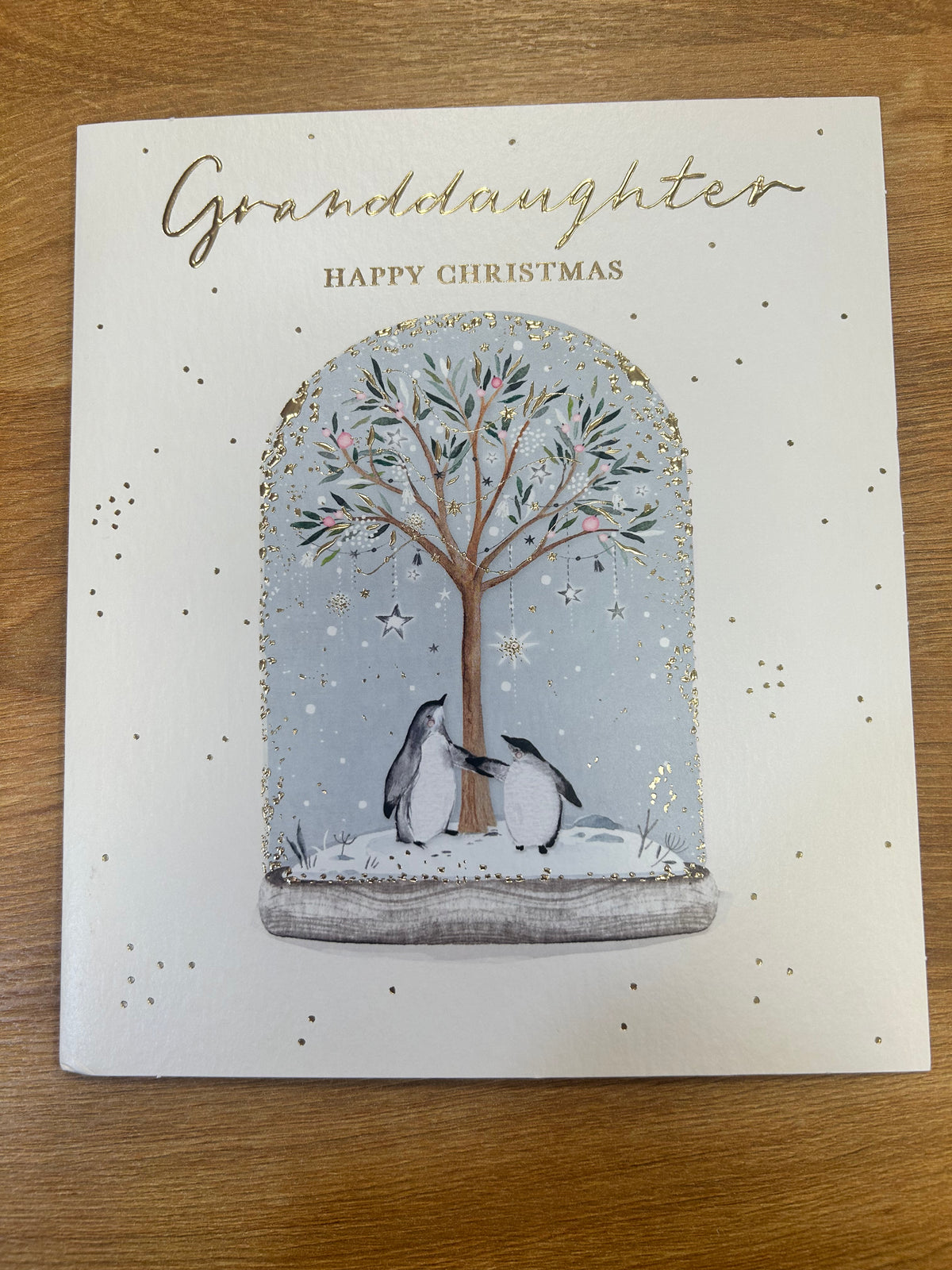 Granddaughter Christmas Card