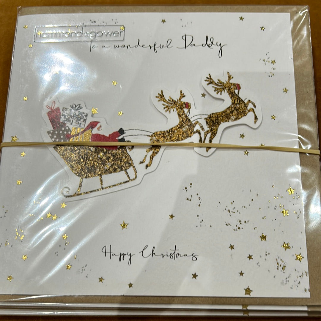 Dad Christmas Card - H&G