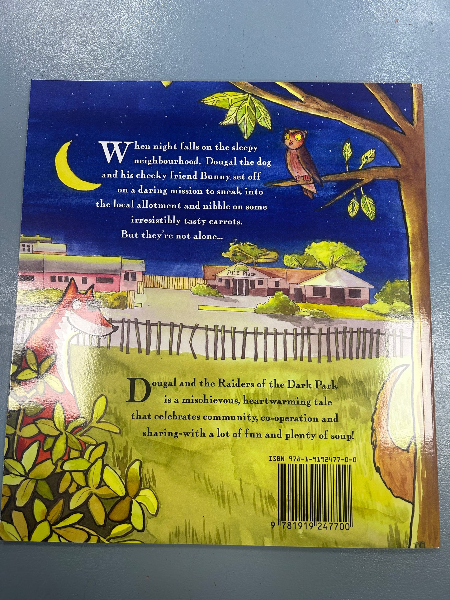 Dougal and the Raiders of the Dark Park - by Clare Leonard