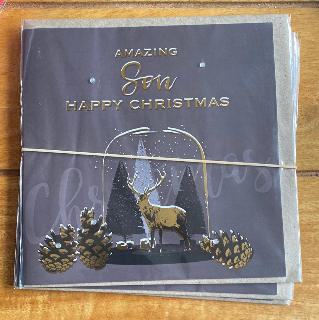 Son Christmas Card - Hammond Gower