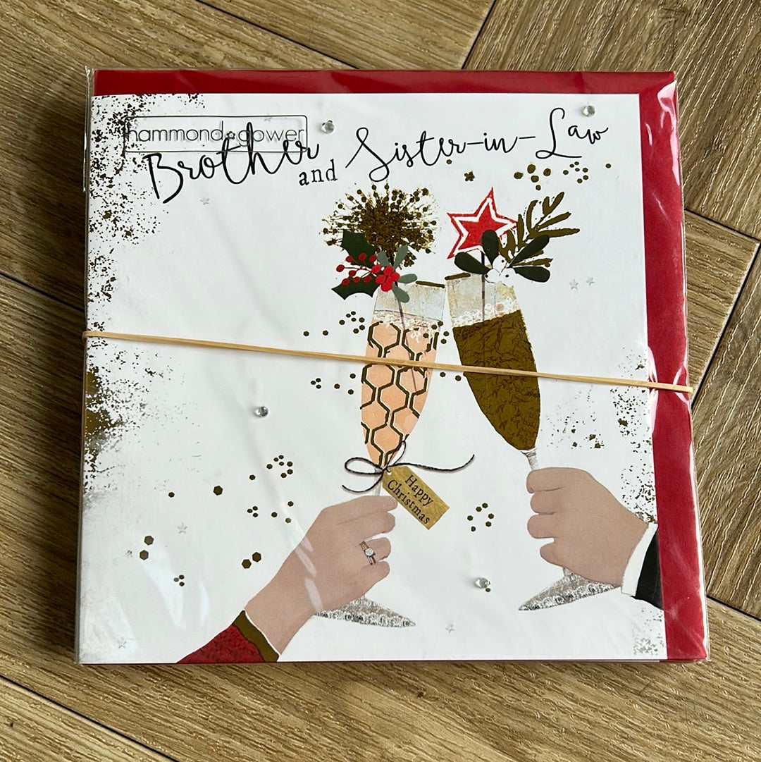 Brother & SIL Christmas Card - HG