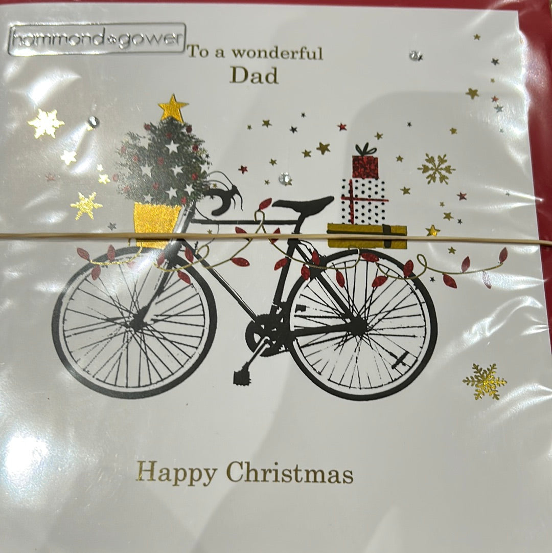 Dad Christmas Card - H&G