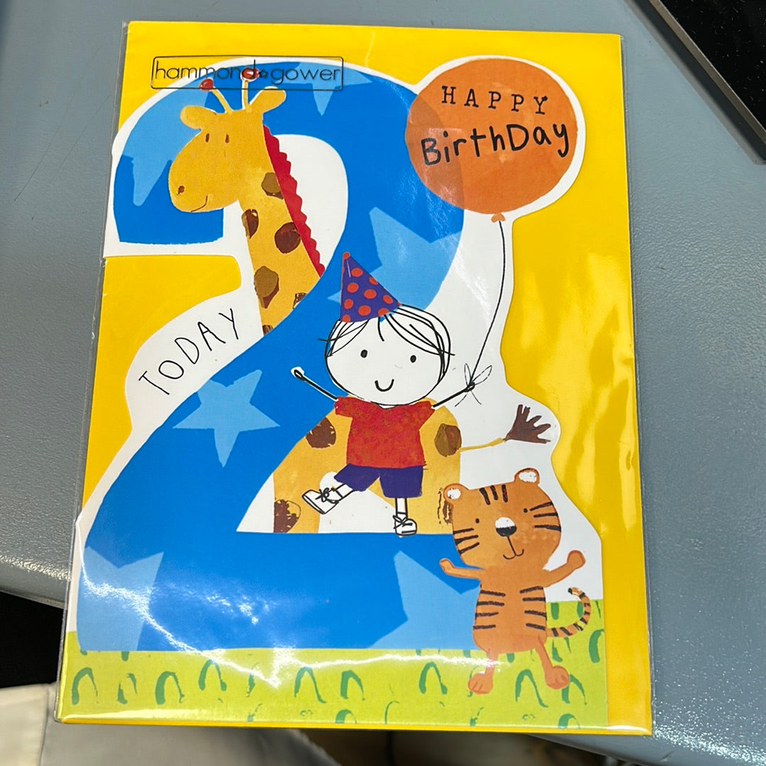 2nd Birthday Card - H&G
