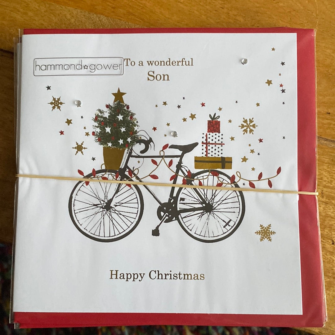 Son Christmas Card - Hammond Gower