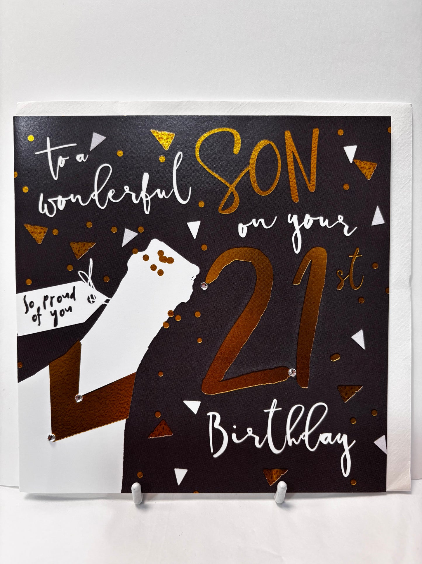21st Son Birthday Card - H&G
