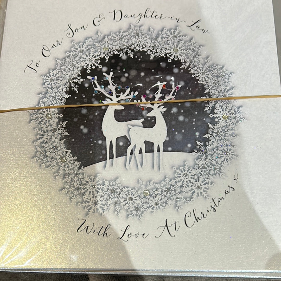 Son & DIL Christmas Card - WJB