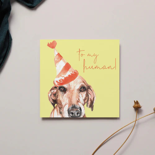 Birthday Card To My Human - Meg Hawkins