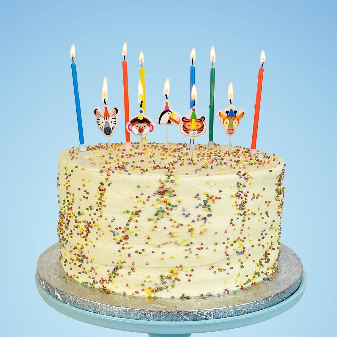 Animal Birthday Candles | 5 Pack | Kids Birthday |