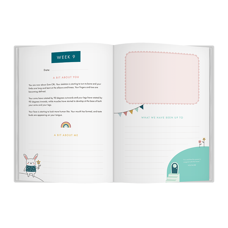 Bump To Birthday – Award-Winning Pregnancy & First Year Journal