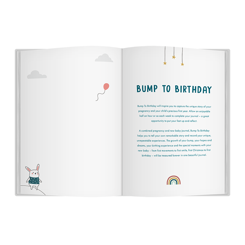 Bump To Birthday – Award-Winning Pregnancy & First Year Journal