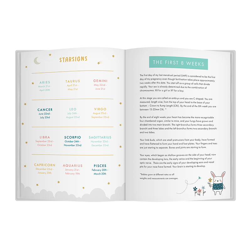 Bump To Birthday – Award-Winning Pregnancy & First Year Journal