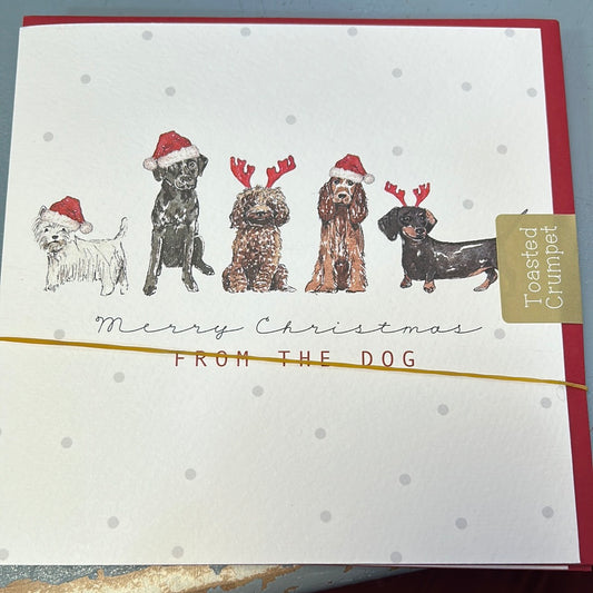 Pet Christmas Card - Toasted Crumpet