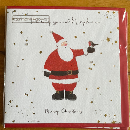 Nephew Christmas Card - Hammond Gower
