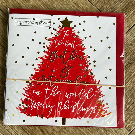 Brother & SIL Christmas Card - HG