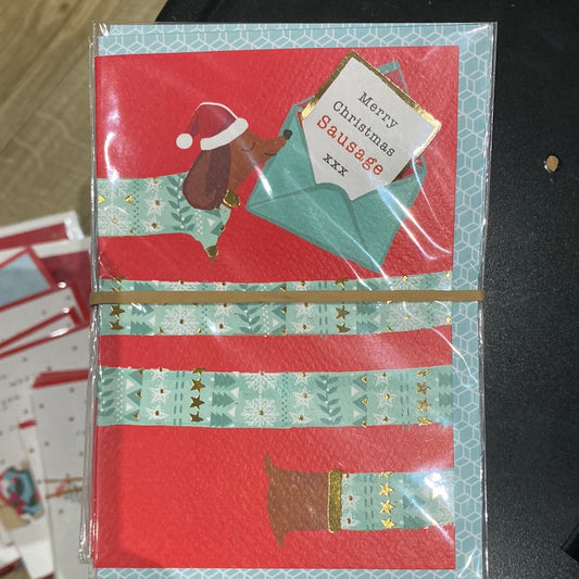 Pet Christmas - Rachel Ellen