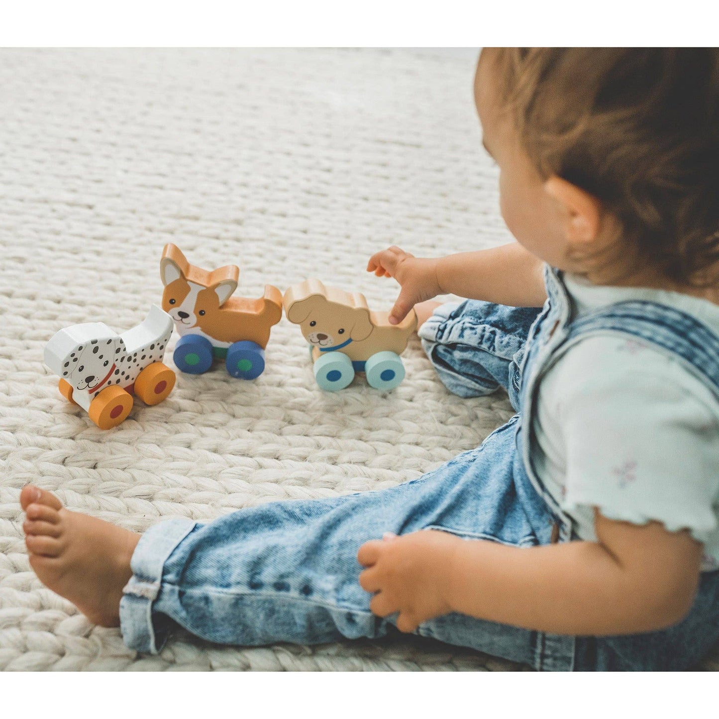 Wooden Puppy Push Toys