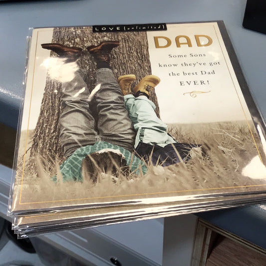 Dad birthday pigment