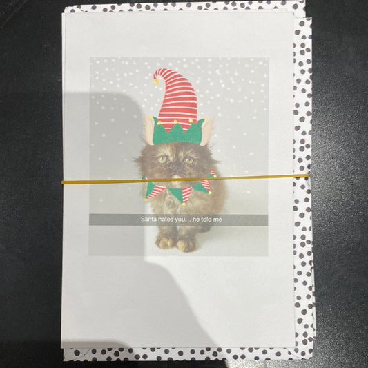Pet Christmas - Hallmark