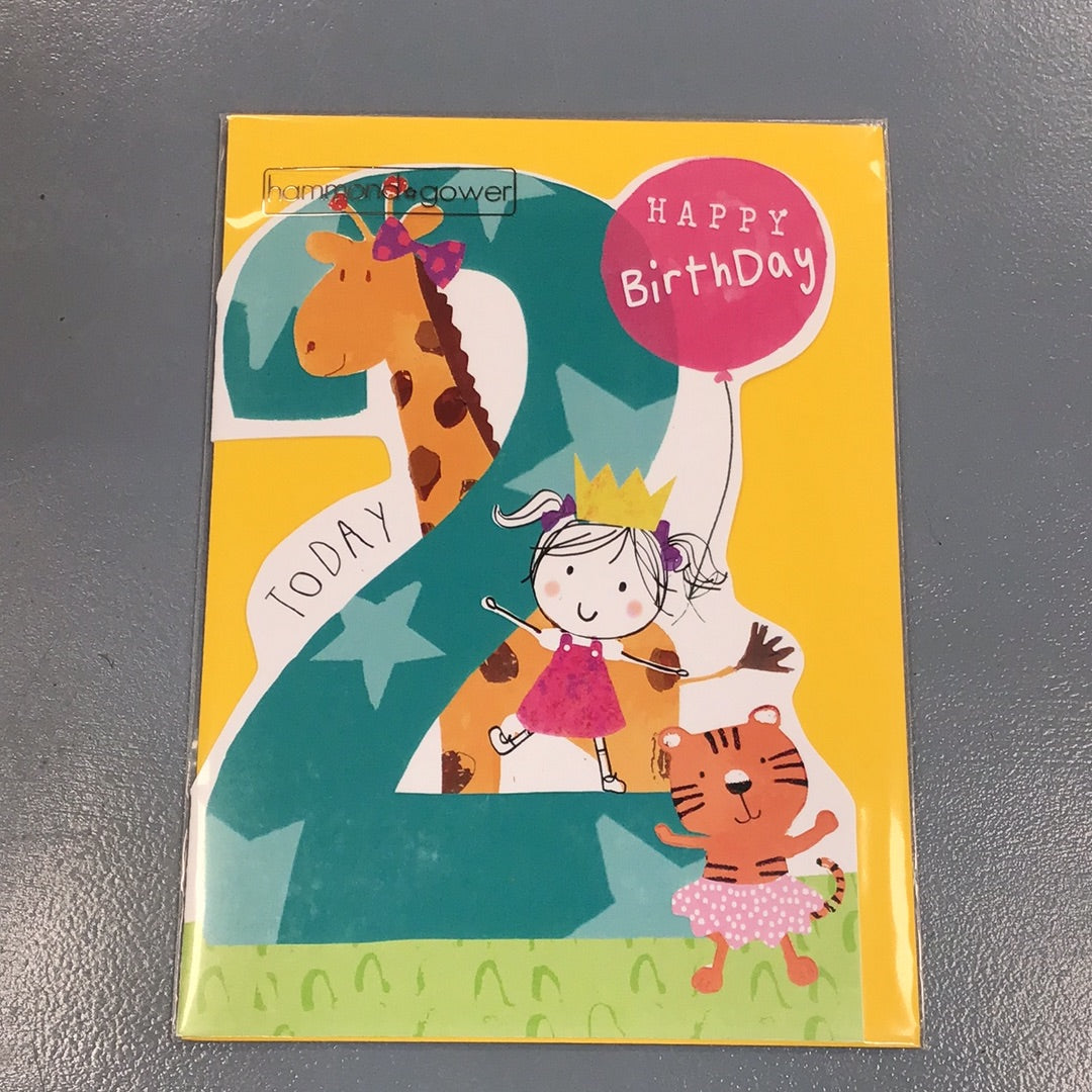 2nd Birthday Girl Card -H&G