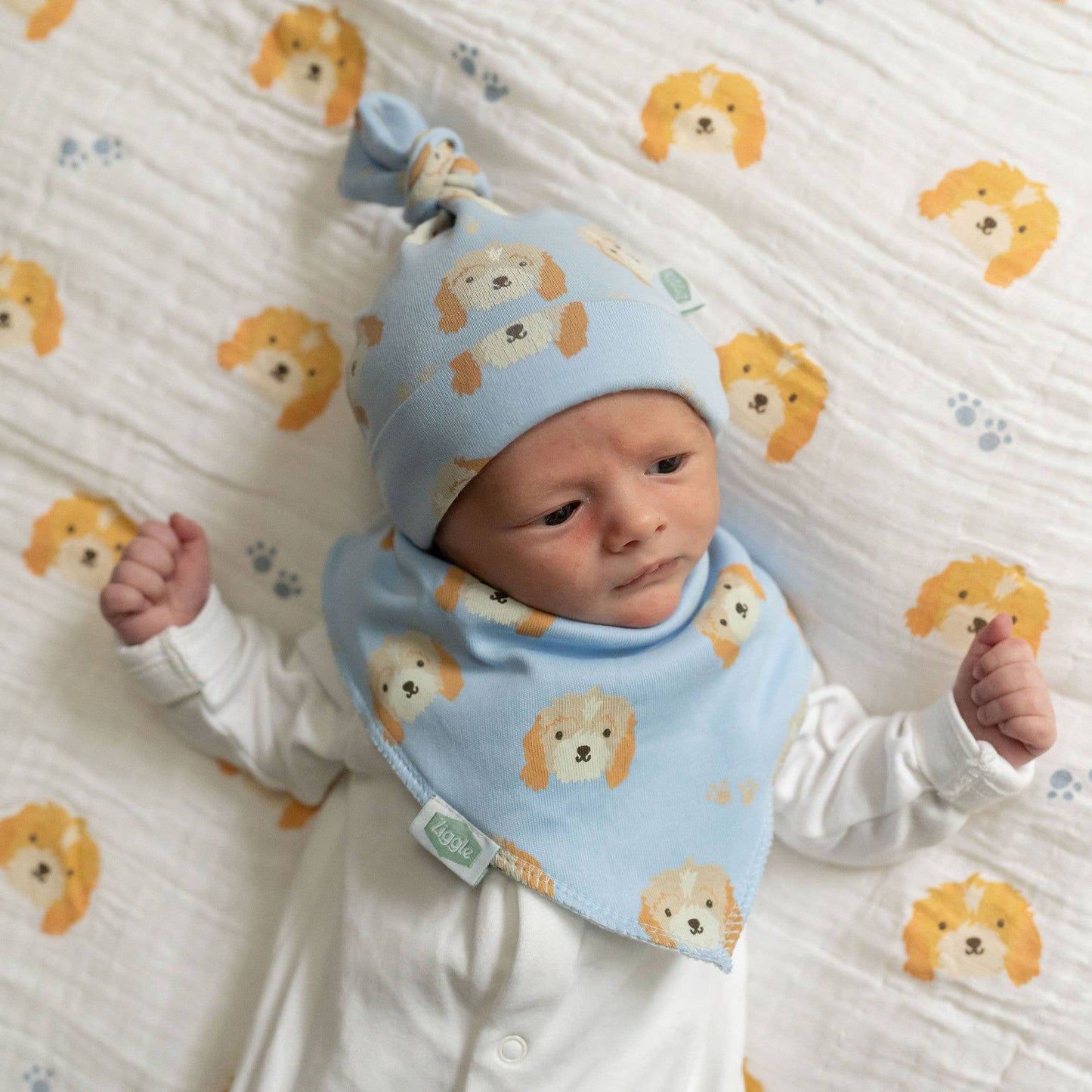 Cockapoo puppy print bib - Dog - Bib - Baby Gift
