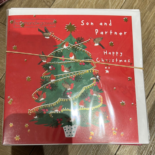 Son & Partner Christmas Card - HG