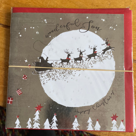 Son Christmas Card - Hammond Gower