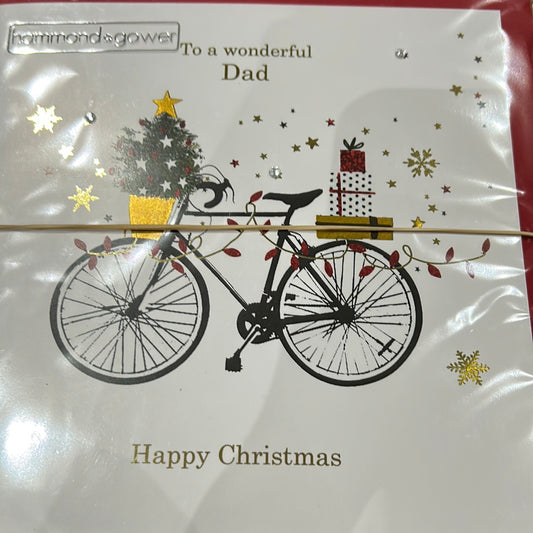 Dad Christmas Card - H&G