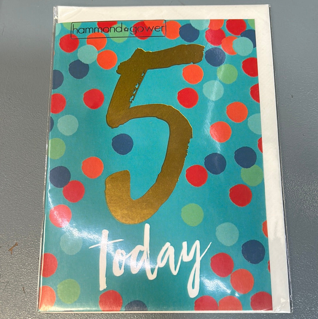 5th Birthday Card - H&G
