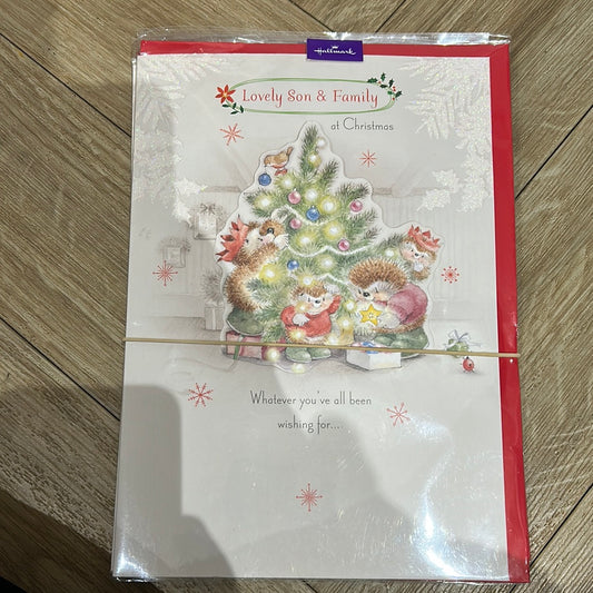Son & Family Christmas Card - Hallmark
