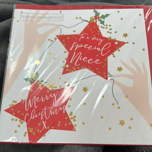 Niece Christmas Card - HG