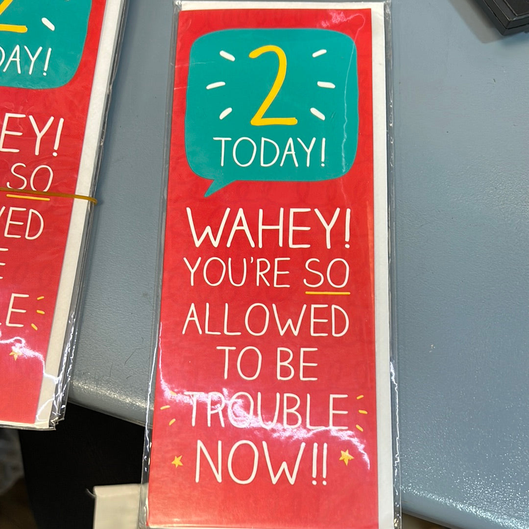 2nd Birthday Card - Pigment