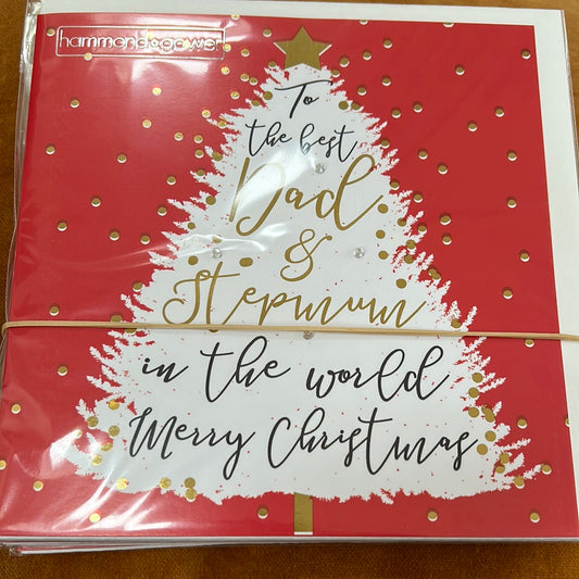 Dad & Step-Mum Christmas Card - HG