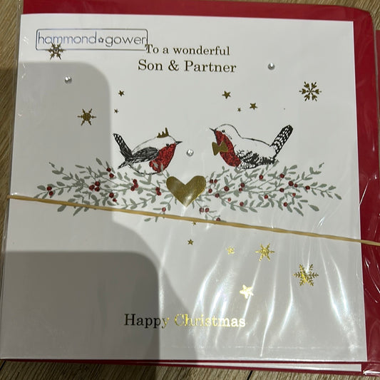 Son & Partner Christmas Card - HG