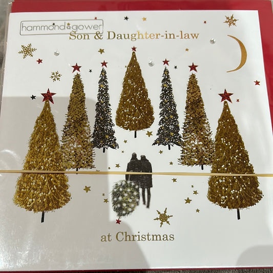 Son & DIL Christmas Card - HG