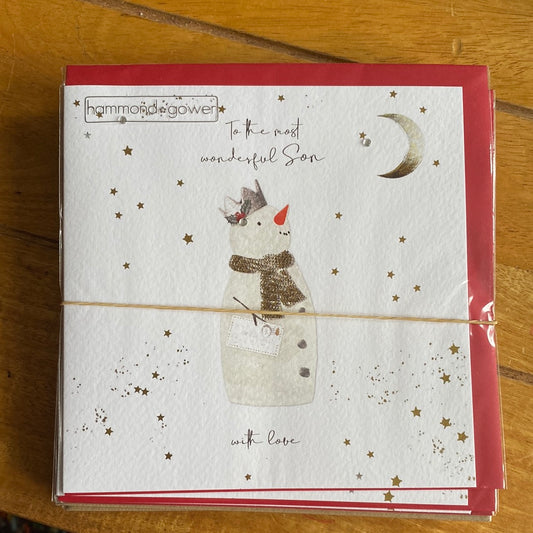 Son Christmas Card - Hammond Gower