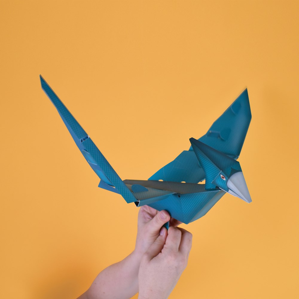 Build A Flying Dinosaur