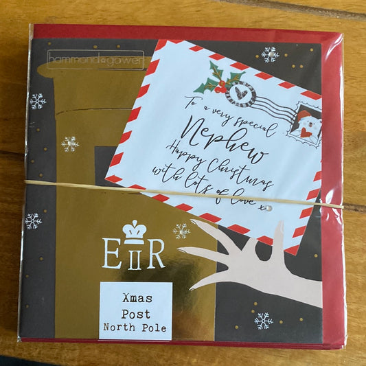 Nephew Christmas Card - Hammond Gower