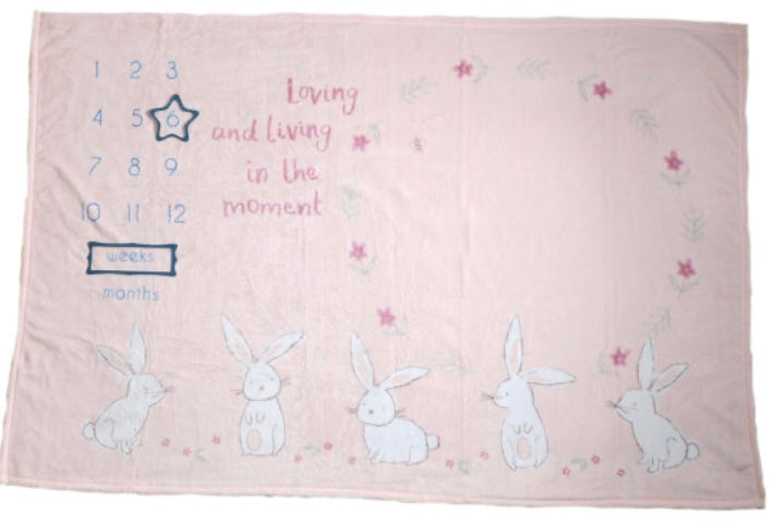 Ziggle Bunnies Milestone Blanket