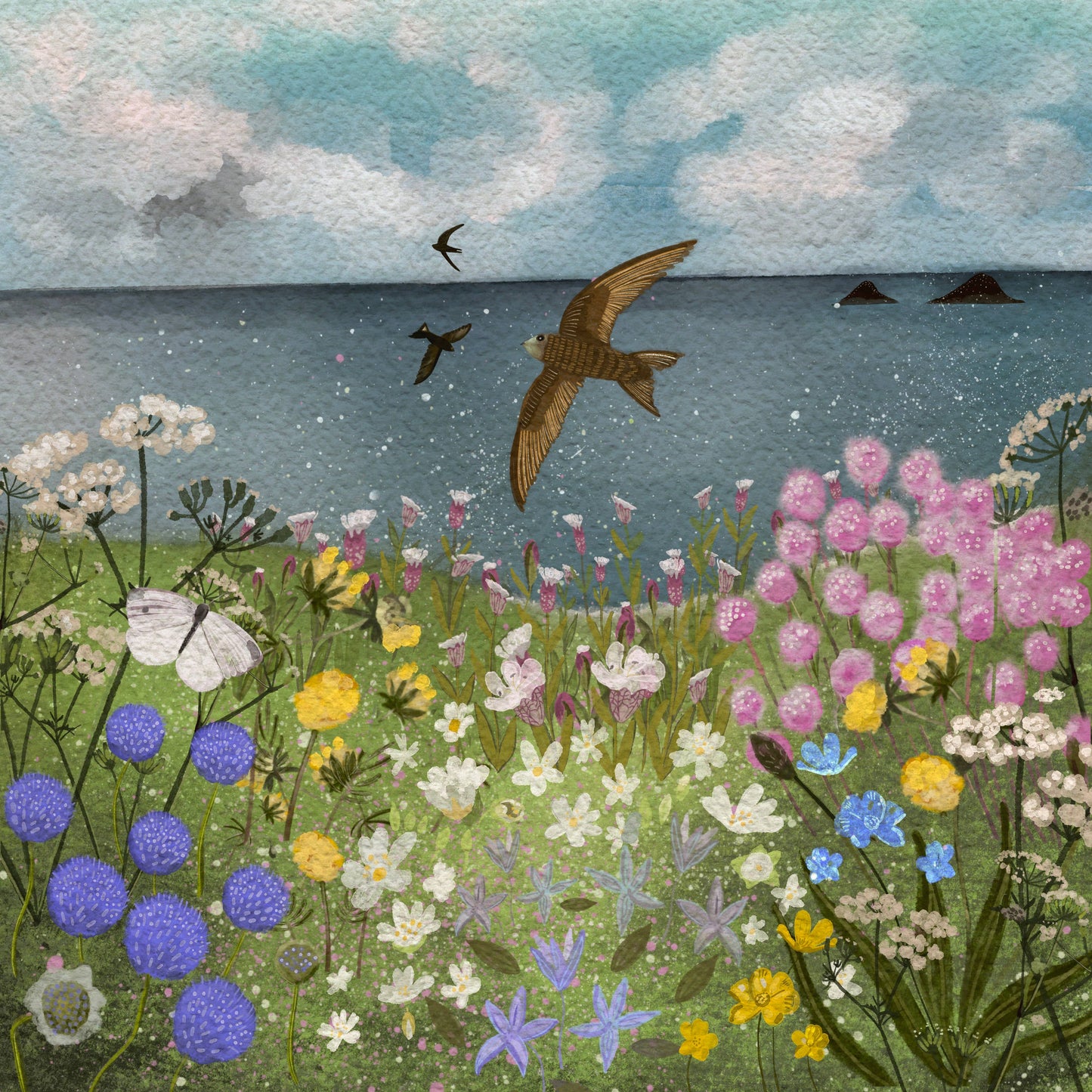 Swifts Blank Card