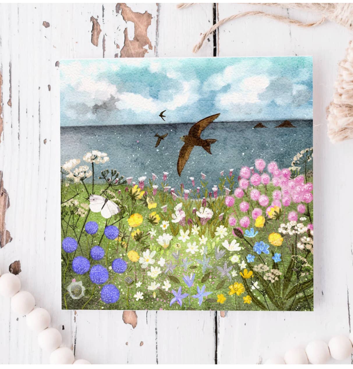 Swifts Blank Card